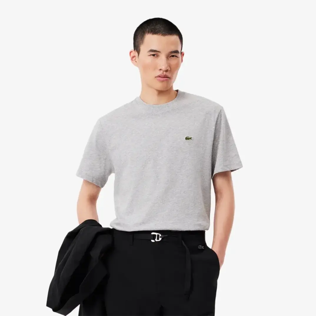 Classic Fit Bisiklet Yaka T-Shirt Gri - 1